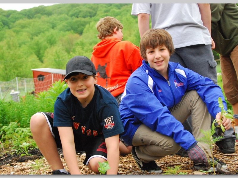 A Synagogue in the Woods: Bringing nature into our 21st Century synagogue and bringing our 21st Century Synagogue into nature