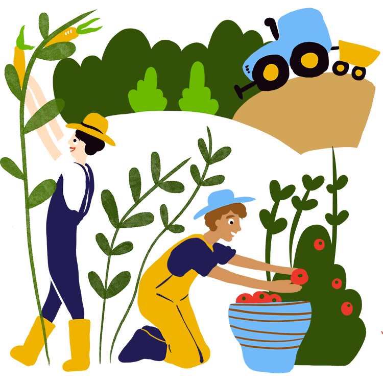 Farmer Torah Initiative