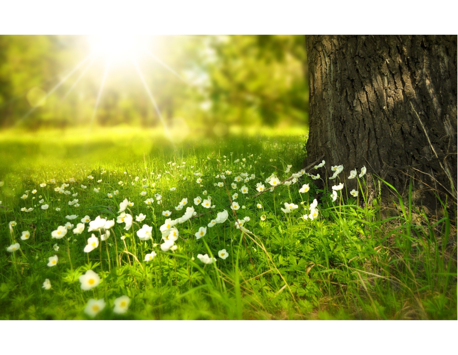 Take This Podcast On a Walk: Spirit in Nature